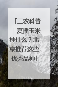 三农科普｜夏播玉米种什么？北京推荐这些优秀品种