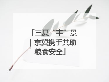 三夏“丰”景｜京冀携手共助粮食安全