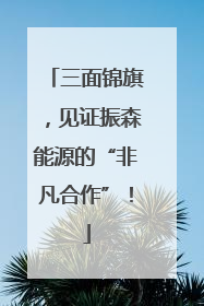三面锦旗，见证振森能源的“非凡合作”！