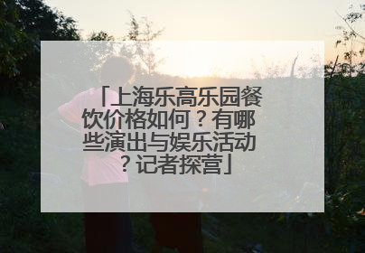 上海乐高乐园餐饮价格如何？有哪些演出与娱乐活动？记者探营