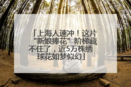 上海人速冲！这片“新娘捧花”阶梯藏不住了，近5万株绣球花如梦似幻