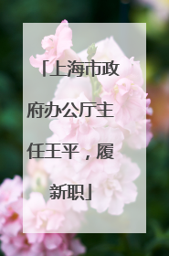 上海市政府办公厅主任王平，履新职