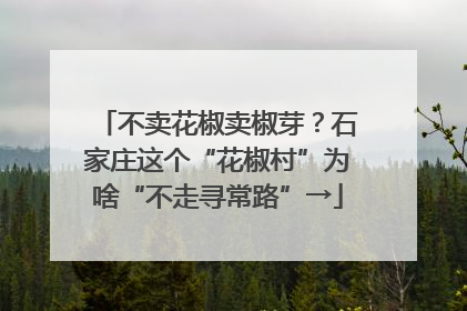 不卖花椒卖椒芽？石家庄这个“花椒村”为啥“不走寻常路”→