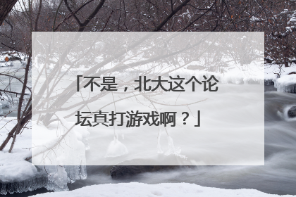 不是，北大这个论坛真打游戏啊？