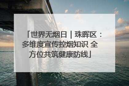 世界无烟日｜珠晖区：多维度宣传控烟知识 全方位共筑健康防线