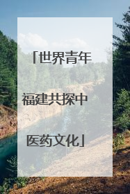 世界青年福建共探中医药文化