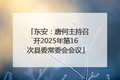 东安：唐何主持召开2025年第16次县委常委会会议