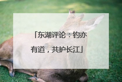 东湖评论：钓亦有道，共护长江