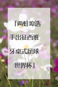 两蚌埠选手出征西班牙桌式足球世界杯