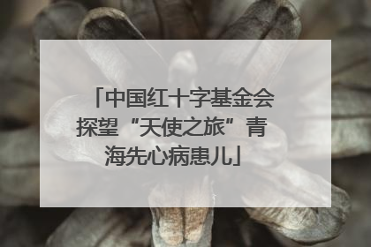 中国红十字基金会探望“天使之旅”青海先心病患儿
