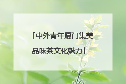 中外青年厦门集美品味茶文化魅力