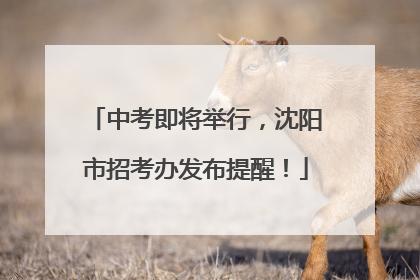 中考即将举行，沈阳市招考办发布提醒！