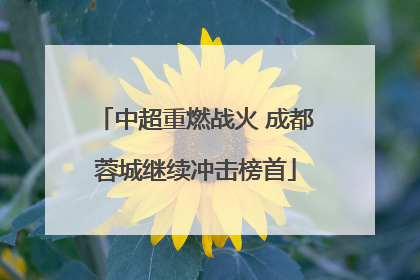 中超重燃战火 成都蓉城继续冲击榜首