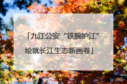 九江公安“铁腕护江”绘就长江生态新画卷