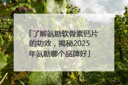 了解氨糖软骨素钙片的功效，揭秘2025年氨糖哪个品牌好