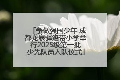 争做强国少年 成都龙泉驿洛带小学举行2025级第一批少先队员入队仪式