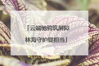云端驰骋筑屏障 林海守护显担当