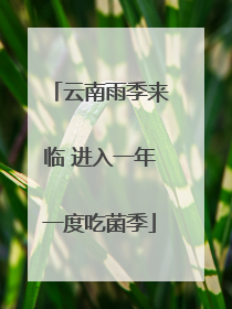 云南雨季来临 进入一年一度吃菌季