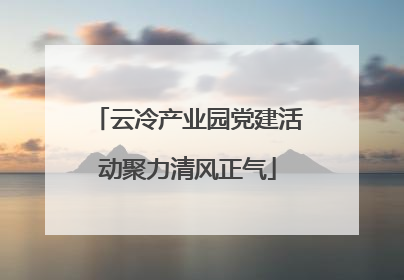 云冷产业园党建活动聚力清风正气