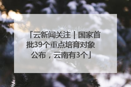 云新闻关注｜国家首批39个重点培育对象公布，云南有3个