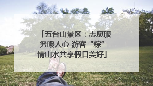 五台山景区：志愿服务暖人心 游客“粽”情山水共享假日美好