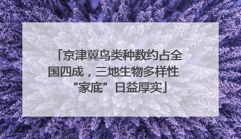京津冀鸟类种数约占全国四成，三地生物多样性“家底”日益厚实