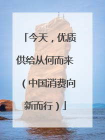 今天，优质供给从何而来（中国消费向新而行）