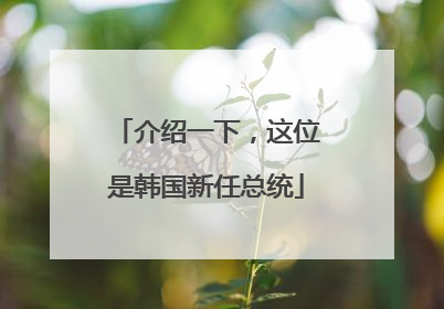 介绍一下，这位是韩国新任总统