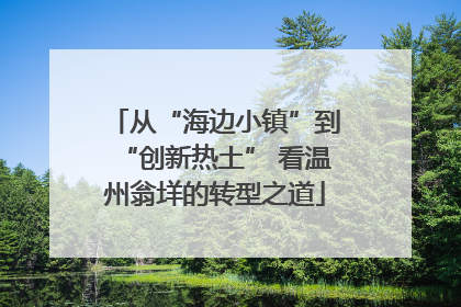 从“海边小镇”到“创新热土” 看温州翁垟的转型之道