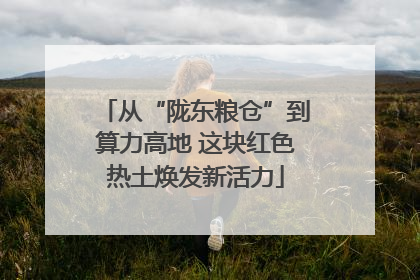 从“陇东粮仓”到算力高地 这块红色热土焕发新活力