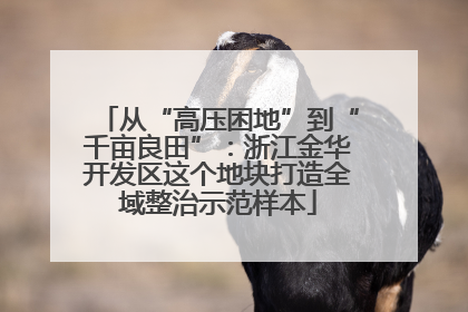 从“高压困地”到“千亩良田”：浙江金华开发区这个地块打造全域整治示范样本