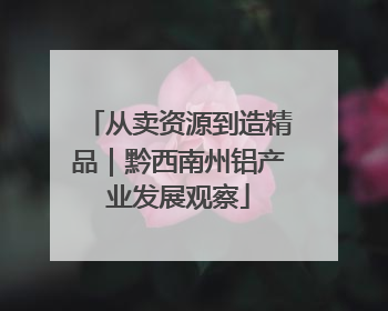 从卖资源到造精品｜黔西南州铝产业发展观察