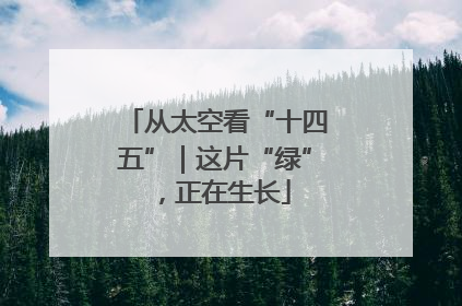 从太空看“十四五”｜这片“绿”，正在生长