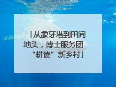 从象牙塔到田间地头，博士服务团“耕读”新乡村