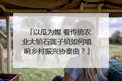 以瓜为媒 看传统农业大镇石莲子镇如何唱响乡村振兴协奏曲？