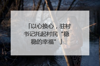 以心换心，驻村书记托起村民“稳稳的幸福”