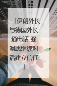 伊朗外长与德国外长通电话 强调愿继续对话建立信任