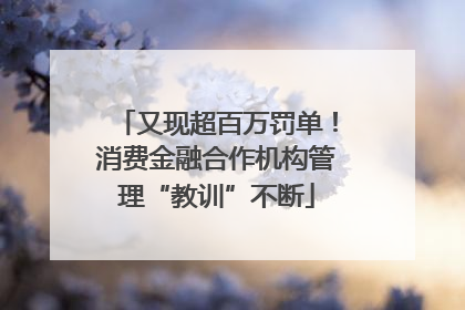 又现超百万罚单！消费金融合作机构管理“教训”不断