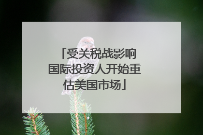 受关税战影响 国际投资人开始重估美国市场