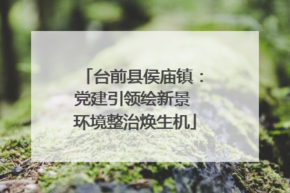 台前县侯庙镇：党建引领绘新景 环境整治焕生机