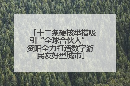 十二条硬核举措吸引“全球合伙人” 资阳全力打造数字游民友好型城市