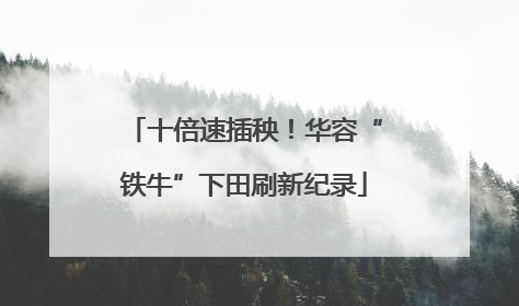 十倍速插秧！华容“铁牛”下田刷新纪录