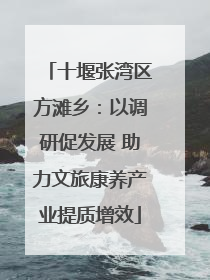 十堰张湾区方滩乡：以调研促发展 助力文旅康养产业提质增效