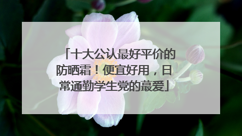 十大公认最好平价的防晒霜！便宜好用，日常通勤学生党的蕞爱