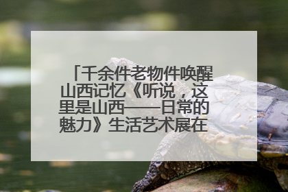 千余件老物件唤醒山西记忆《听说，这里是山西——日常的魅力》生活艺术展在忻州市图书馆开展