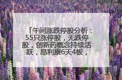 午间涨跌停股分析：55只涨停股，无跌停股，创新药概念持续活跃，昂利康6天4板，众生药业2连板