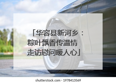 华容县新河乡：粽叶飘香传温情 走访慰问暖人心