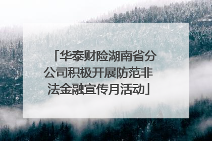 华泰财险湖南省分公司积极开展防范非法金融宣传月活动