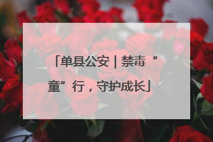 单县公安｜禁毒“童”行，守护成长