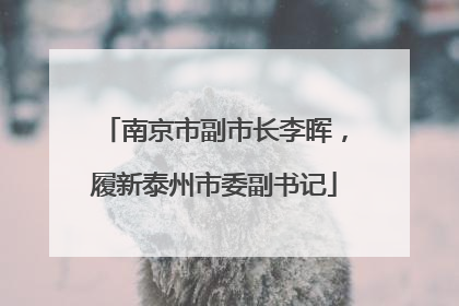 南京市副市长李晖，履新泰州市委副书记
